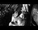 Correspondances