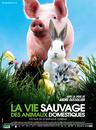 The Wildlife of domestic animals The Wildlife of domestic animals