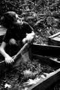 Nocturnes - 5