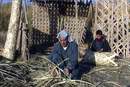 Zaman, l'homme des roseaux