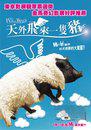 When Pigs Have Wings - Poster - Ta&iuml;wan