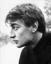 Henri Serre