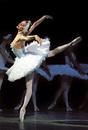 Ballerina