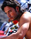 Rodrigo Santoro