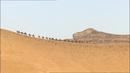 Bouzkachi
