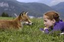 Le Renard et l'enfant