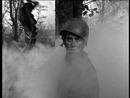 It's Vietnam in My Garden! It's Vietnam in My Garden!