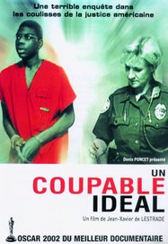 Un coupable id&eacute;al