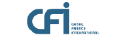 http://medias.unifrance.org/medias/14/94/24078/format_affiche/cfi-canal-france-international.gif