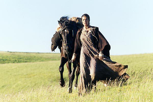 Le Frere Du Guerrier Le Frère du guerrier (2001) - uniFrance Films