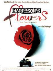 Harrison's Flowers Harrison's Flowers