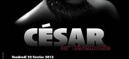 2013 Cesar Award nominations announced