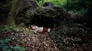 A Pas de Loup