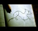 The Silkiness of the Weasel The Silkiness of the Weasel