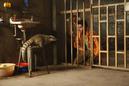 Houba ! On the trail of the Marsupilami - &copy; Chez Wam &ndash; Nicolas Guiraud