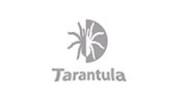 Tarantula Belgique