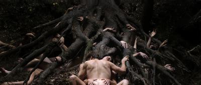 Antichrist - &copy; Christian Geisn&aelig;s