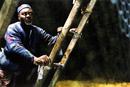 Gourgou, l'homme fort