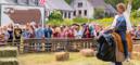 French films at the international box office: February 2016 French films at the international box office: February 2016