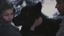 The Maiden and the Wolves The Maiden and the Wolves