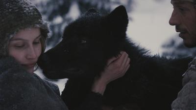 La Jeune Fille et les loups