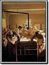 Chambre des officiers (La) - 4