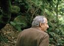 Trois films de Jean-Marie Straub - Le genou d'Artémide Trois films de Jean-Marie Straub - Le genou d'Artémide