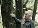 Trois films de Jean-Marie Straub - Le genou d'Artémide Trois films de Jean-Marie Straub - Le genou d'Artémide