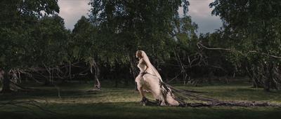 Melancholia - © Christian Geisnaes Melancholia - © Christian Geisnaes
