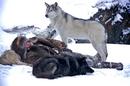 Loup - &copy; &copy; Kasia Wandycz