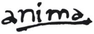 Brussels Cartoon and Animated Film Festival (Anima) - 2013