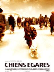 Chiens &eacute;gar&eacute;s