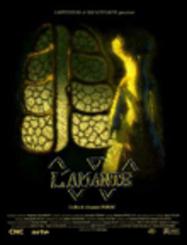 L' Amante