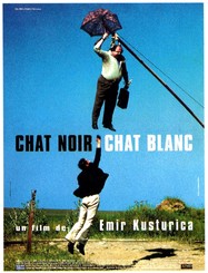 Chat noir chat blanc
