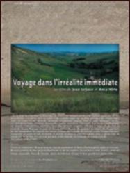 Voyage dans l'irréalité immédiate Voyage dans l'irréalité immédiate