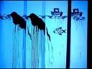 Les Poissons Volants 