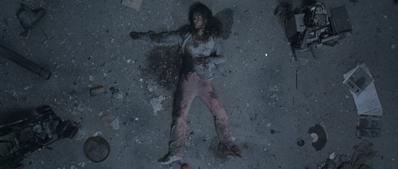  Chronicles of Survivors