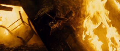 Prey - © Erich Vogel / Quasar Pictures Prey - © Erich Vogel / Quasar Pictures