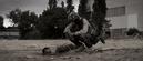 Chroniques de survivants