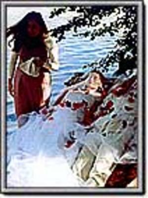 Noces chymiques (Les) Noces chymiques (Les)