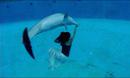 Swimming Away Swimming Away