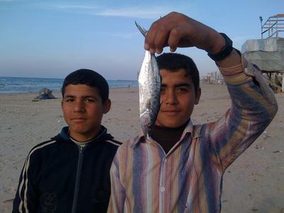 Aisheen, Chronique de Gaza