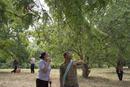 Oncle Boonmee (qui se souvient de ses vies antérieures) Oncle Boonmee (qui se souvient de ses vies antérieures)