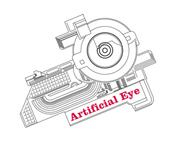 Artificial Eye
