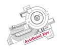 Artificial Eye