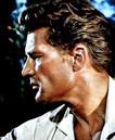 Georges Marchal