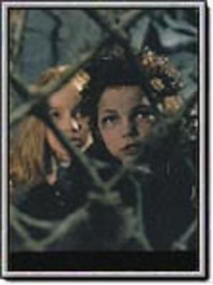 Le Petit vampire