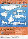 Oc&eacute;ans - Poster Japan - 3 - &copy; Gaga Corporation