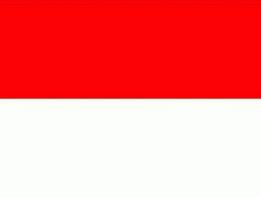 Market Report: Indonesia 2000