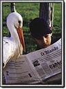 Je suis n&eacute; d'une cigogne